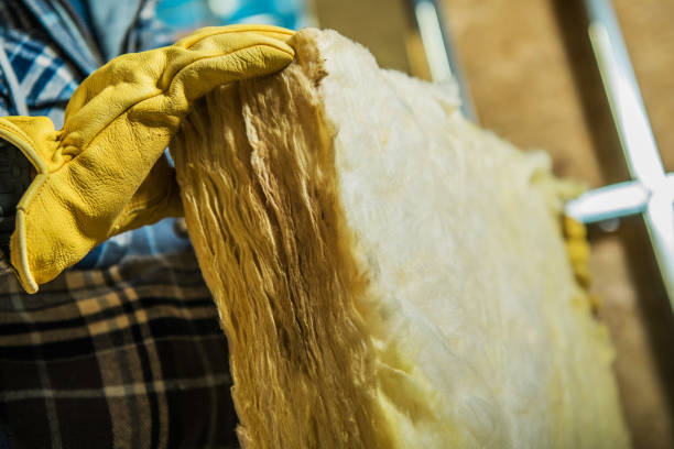 Best Eco-Friendly Insulation in Sea Ranch, CA